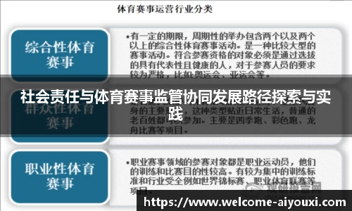 社会责任与体育赛事监管协同发展路径探索与实践
